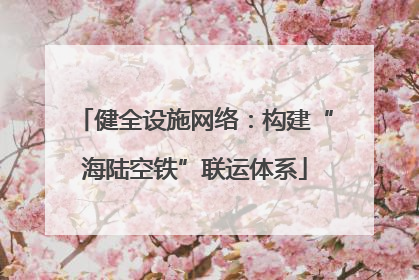 健全设施网络：构建“海陆空铁”联运体系