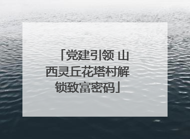 党建引领 山西灵丘花塔村解锁致富密码