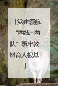 党建领航“两线+两队”筑牢教材育人根基