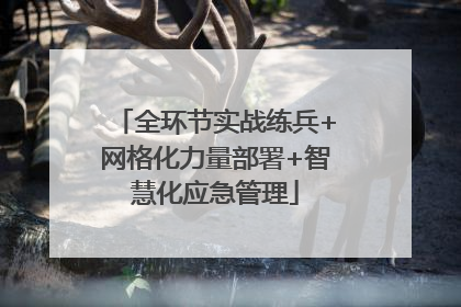 全环节实战练兵+网格化力量部署+智慧化应急管理