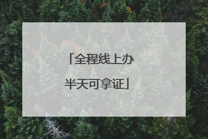 全程线上办 半天可拿证