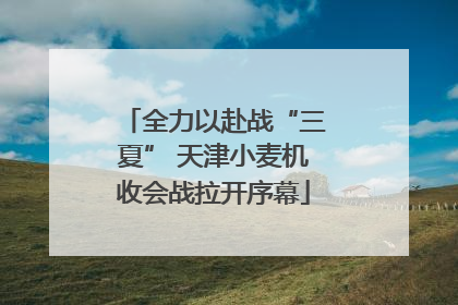 全力以赴战“三夏” 天津小麦机收会战拉开序幕