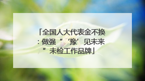 全国人大代表金不换：做强“‘豫’见未来”未检工作品牌