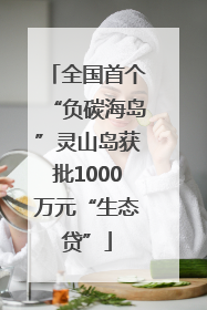 全国首个“负碳海岛”灵山岛获批1000万元“生态贷”