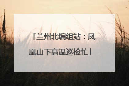兰州北编组站：凤凰山下高温巡检忙