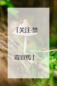 关注·禁毒宣传