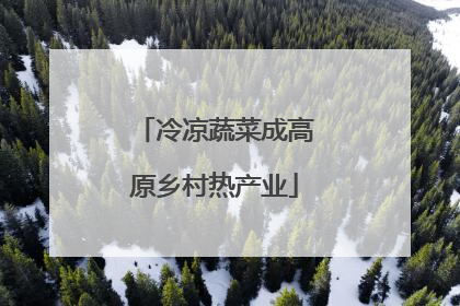 冷凉蔬菜成高原乡村热产业