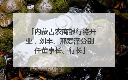 内蒙古农商银行将开业，刘丰、邢爱泽分别任董事长、行长