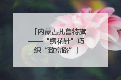 内蒙古扎鲁特旗——“绣花针”巧织“致富路”