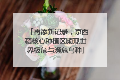 再添新记录，京西稻核心种植区频现世界极危与濒危鸟种