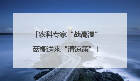 农科专家“战高温” 菇棚送来“清凉策”