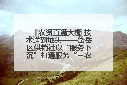农资直通大棚 技术送到地头——岱岳区供销社以“服务下沉”打通服务“三农”最后一公里