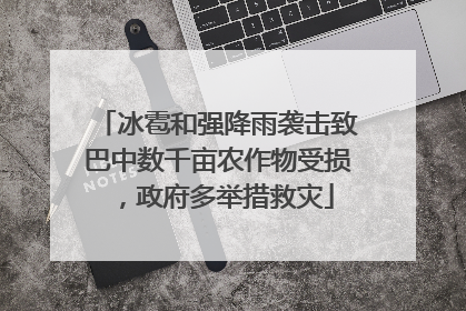 冰雹和强降雨袭击致巴中数千亩农作物受损，政府多举措救灾