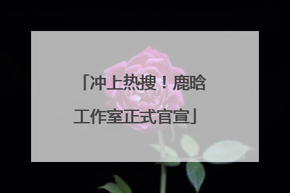 冲上热搜！鹿晗工作室正式官宣
