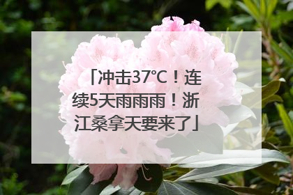 冲击37℃！连续5天雨雨雨！浙江桑拿天要来了