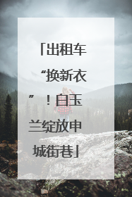 出租车“换新衣”！白玉兰绽放申城街巷