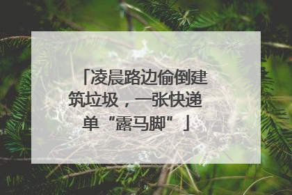 凌晨路边偷倒建筑垃圾，一张快递单“露马脚”