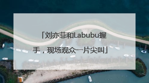 刘亦菲和Labubu握手，现场观众一片尖叫
