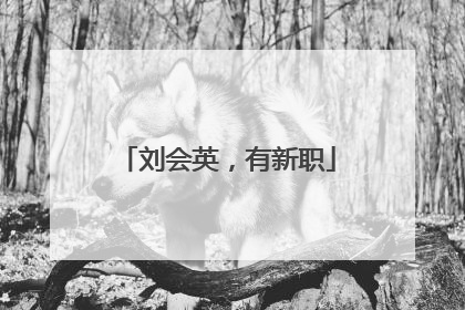 刘会英，有新职