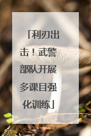 利刃出击！武警部队开展多课目强化训练