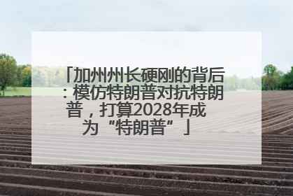 加州州长硬刚的背后：模仿特朗普对抗特朗普，打算2028年成为“特朗普”