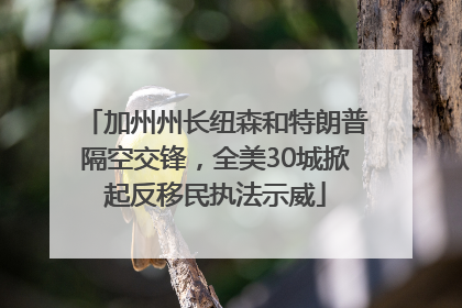 加州州长纽森和特朗普隔空交锋，全美30城掀起反移民执法示威