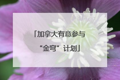 加拿大有意参与“金穹”计划