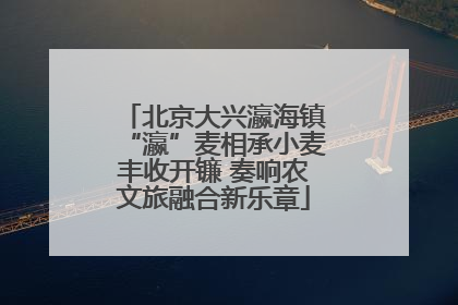 北京大兴瀛海镇“瀛”麦相承小麦丰收开镰 奏响农文旅融合新乐章