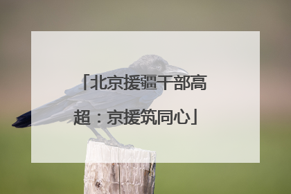 北京援疆干部高超：京援筑同心