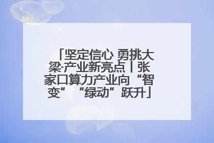 坚定信心 勇挑大梁·产业新亮点丨张家口算力产业向“智变”“绿动”跃升