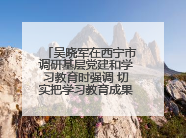 吴晓军在西宁市调研基层党建和学习教育时强调 切实把学习教育成果转化为惠民实效