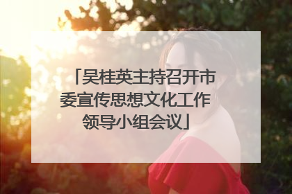 吴桂英主持召开市委宣传思想文化工作领导小组会议