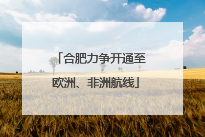 合肥力争开通至欧洲、非洲航线