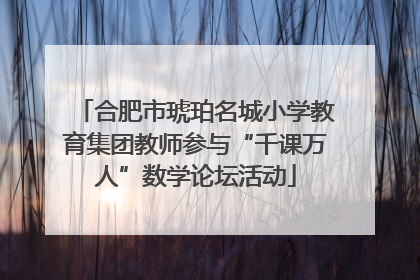 合肥市琥珀名城小学教育集团教师参与“千课万人”数学论坛活动