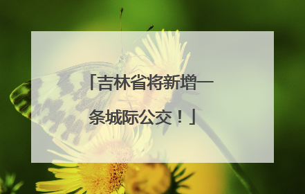 吉林省将新增一条城际公交！