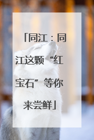 同江：同江这颗“红宝石”等你来尝鲜