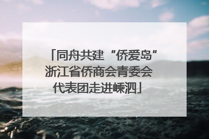 同舟共建“侨爱岛” 浙江省侨商会青委会代表团走进嵊泗