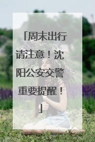 周末出行请注意！沈阳公安交警重要提醒！