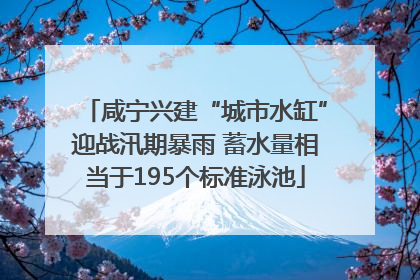 咸宁兴建“城市水缸”迎战汛期暴雨 蓄水量相当于195个标准泳池