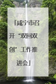 咸宁市召开“双回双创”工作推进会