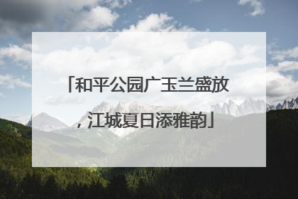 和平公园广玉兰盛放，江城夏日添雅韵