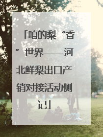 咱的梨“香”世界——河北鲜梨出口产销对接活动侧记