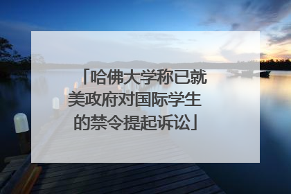 哈佛大学称已就美政府对国际学生的禁令提起诉讼