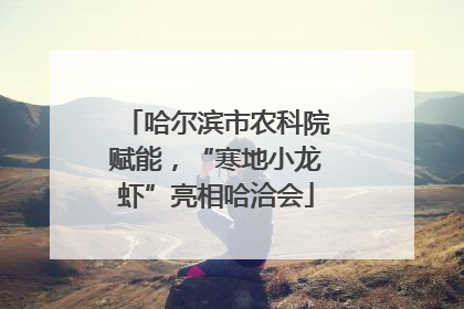 哈尔滨市农科院赋能，“寒地小龙虾”亮相哈洽会