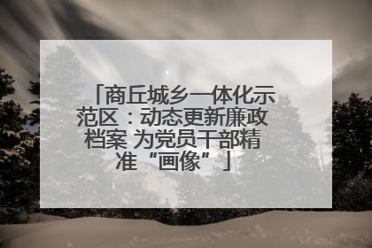商丘城乡一体化示范区：动态更新廉政档案 为党员干部精准“画像”