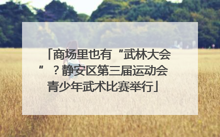 商场里也有“武林大会”？静安区第三届运动会青少年武术比赛举行