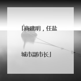 商建明，任盐城市副市长