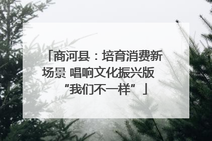 商河县：培育消费新场景 唱响文化振兴版“我们不一样”
