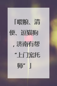 喂粮、清便、逗猫狗，济南有帮“上门宠托师”