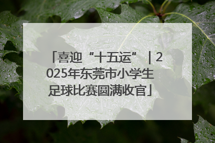喜迎“十五运”｜2025年东莞市小学生足球比赛圆满收官